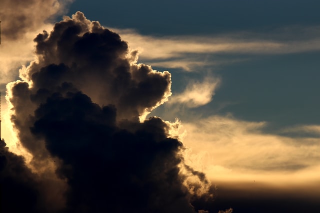 oblak mudrosti narcisa oblak